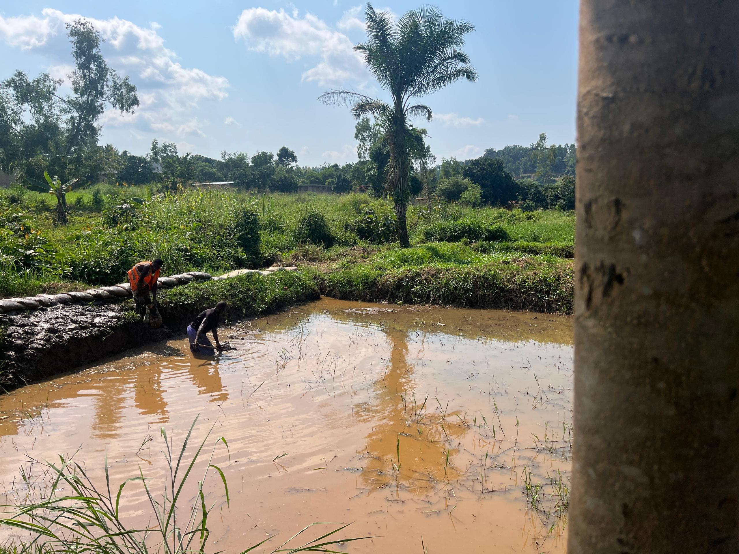 Photo of the AppuisRD team in action